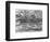 Worm Wood, California, c. 1937-Brett Weston-Framed Photographic Print