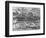 Worm Wood, California, c. 1937-Brett Weston-Framed Photographic Print