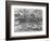 Worm Wood, California, c. 1937-Brett Weston-Framed Photographic Print