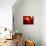 Wormhole Event, Artwork-Mehau Kulyk-Photographic Print displayed on a wall
