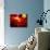 Wormhole Event, Artwork-Mehau Kulyk-Photographic Print displayed on a wall