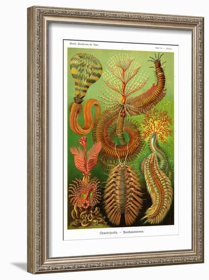 Worms-Ernst Haeckel-Framed Art Print