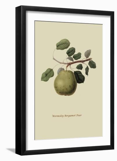 Wormsley Bergamot Pear-William Hooker-Framed Art Print