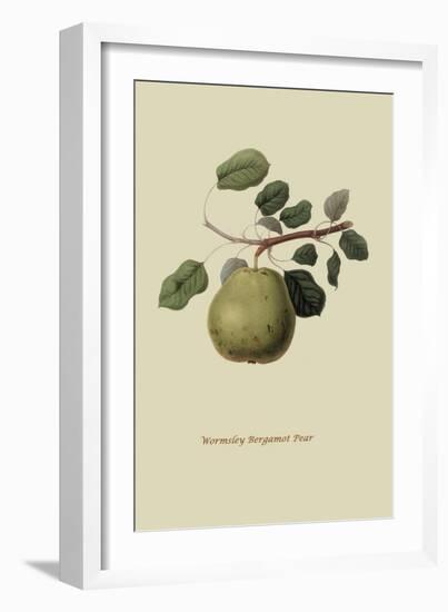 Wormsley Bergamot Pear-William Hooker-Framed Art Print