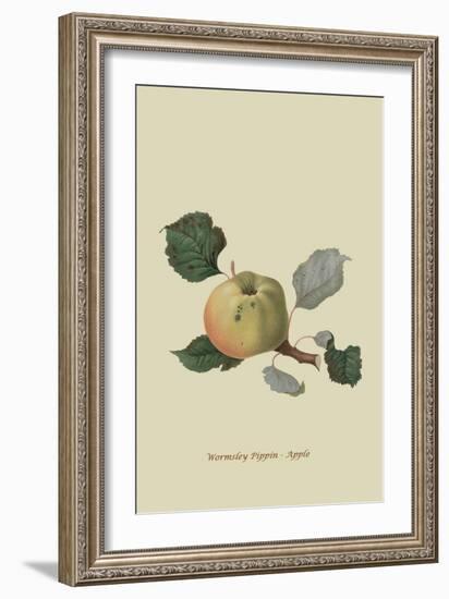 Wormsley Pippin - Apple-William Hooker-Framed Art Print