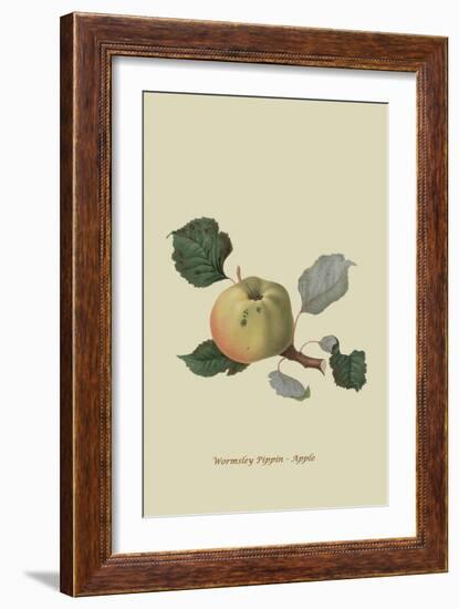 Wormsley Pippin - Apple-William Hooker-Framed Art Print