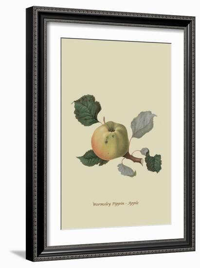 Wormsley Pippin - Apple-William Hooker-Framed Art Print