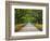 Wormsloe Plantation, Savannah, Georgia, USA-Joanne Wells-Framed Photographic Print