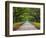 Wormsloe Plantation, Savannah, Georgia, USA-Joanne Wells-Framed Photographic Print