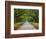 Wormsloe Plantation, Savannah, Georgia, USA-Joanne Wells-Framed Photographic Print