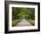 Wormsloe Plantation, Savannah, Georgia, USA-Joanne Wells-Framed Photographic Print