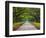 Wormsloe Plantation, Savannah, Georgia, USA-Joanne Wells-Framed Photographic Print