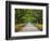 Wormsloe Plantation, Savannah, Georgia, USA-Joanne Wells-Framed Photographic Print