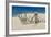 Worn Beach Fence-Michael Blanchette Photography-Framed Photographic Print