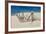 Worn Beach Fence-Michael Blanchette Photography-Framed Photographic Print