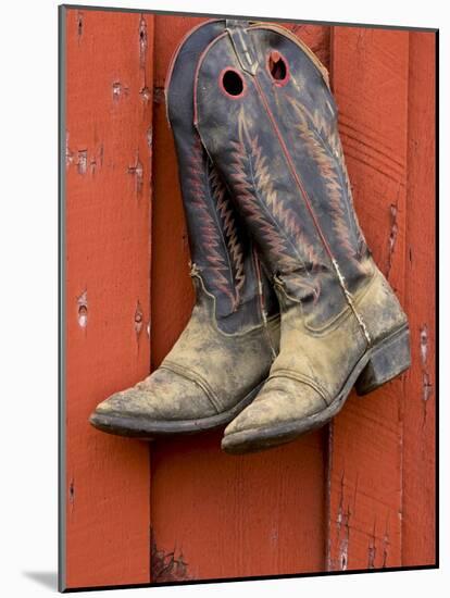 Worn Cowboy Boots Hanging, Ponderosa Ranch, Seneca, Oregon, USA-Wendy Kaveney-Mounted Photographic Print