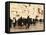 Worshippers at the Western Wall, Jerusalem, Israel, Middle East-Michael DeFreitas-Framed Premier Image Canvas