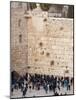 Worshippers at the Western Wall, Jerusalem, Israel, Middle East-Michael DeFreitas-Mounted Photographic Print