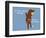 Worth Doing-Dog is Good-Framed Art Print