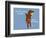 Worth Doing-Dog is Good-Framed Art Print