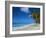 Worthing Beach on South Coast of Southern Parish of Christ Church, Barbados, Caribbean-Robert Francis-Framed Photographic Print