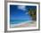 Worthing Beach on South Coast of Southern Parish of Christ Church, Barbados, Caribbean-Robert Francis-Framed Photographic Print