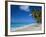Worthing Beach on South Coast of Southern Parish of Christ Church, Barbados, Caribbean-Robert Francis-Framed Photographic Print