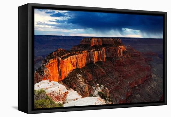 Wotan's Throne from Cape Royal, north rim, Grand Canyon,  Arizona-Geraint Tellem-Framed Premier Image Canvas