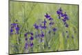 Premium Photographic Print