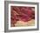 Wound Scab, SEM-Steve Gschmeissner-Framed Photographic Print