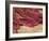 Wound Scab, SEM-Steve Gschmeissner-Framed Photographic Print