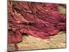 Wound Scab, SEM-Steve Gschmeissner-Mounted Photographic Print
