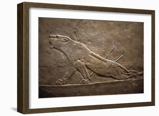 Wounded Lion Assyrian Relief from Palace at Niniveh-null-Framed Giclee Print