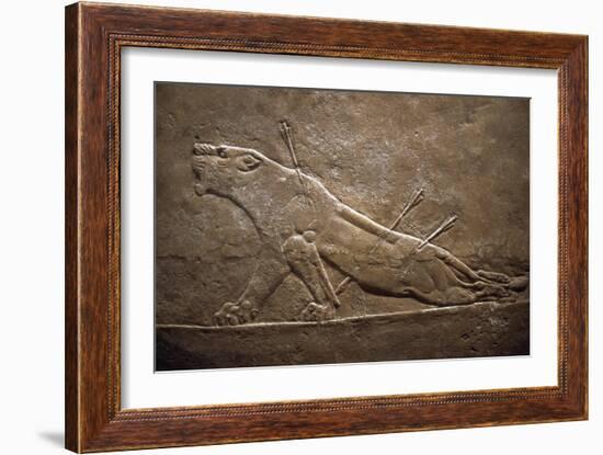 Wounded Lion Assyrian Relief from Palace at Niniveh-null-Framed Giclee Print