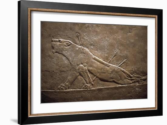 Wounded Lion Assyrian Relief from Palace at Niniveh-null-Framed Giclee Print