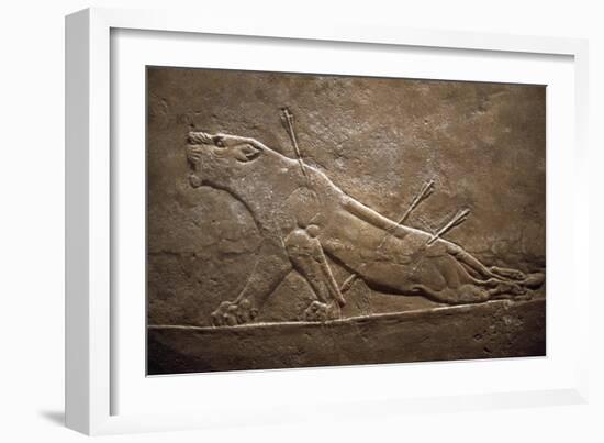 Wounded Lion Assyrian Relief from Palace at Niniveh-null-Framed Giclee Print