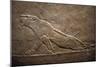 Wounded Lion Assyrian Relief from Palace at Niniveh-null-Mounted Giclee Print