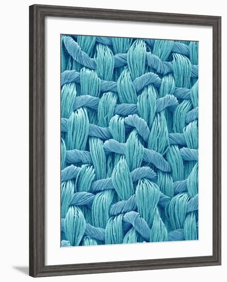 Woven Cloth-Micro Discovery-Framed Photographic Print