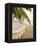 Woven Hammock under Palm Tree-Merrill Images-Framed Premier Image Canvas