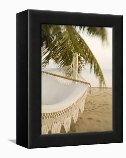 Woven Hammock under Palm Tree-Merrill Images-Framed Premier Image Canvas