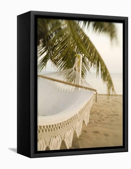 Woven Hammock under Palm Tree-Merrill Images-Framed Premier Image Canvas