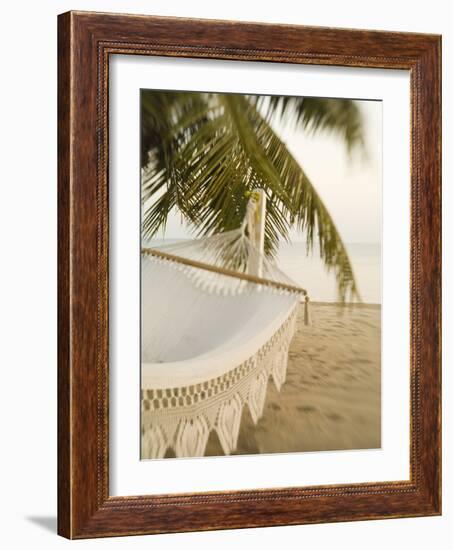 Woven Hammock under Palm Tree-Merrill Images-Framed Photographic Print