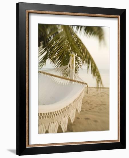 Woven Hammock under Palm Tree-Merrill Images-Framed Photographic Print