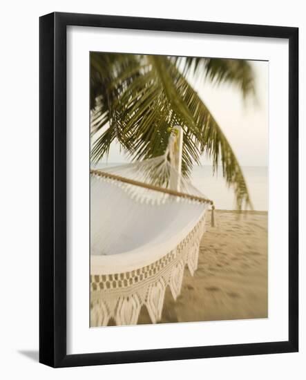 Woven Hammock under Palm Tree-Merrill Images-Framed Photographic Print