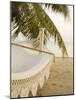 Woven Hammock under Palm Tree-Merrill Images-Mounted Photographic Print