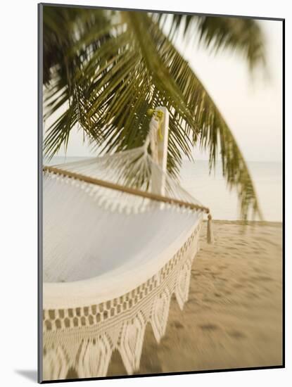 Woven Hammock under Palm Tree-Merrill Images-Mounted Photographic Print