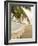 Woven Hammock under Palm Tree-Merrill Images-Framed Photographic Print