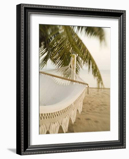 Woven Hammock under Palm Tree-Merrill Images-Framed Photographic Print