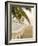 Woven Hammock under Palm Tree-Merrill Images-Framed Photographic Print