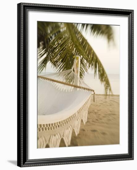 Woven Hammock under Palm Tree-Merrill Images-Framed Photographic Print